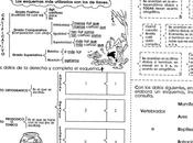 esquema: grado