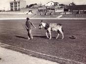 Fotos antiguas: Estadio Chamartín, 1925