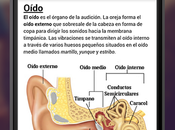 Nueva ExamTime para Android