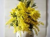 Boda mimosa!