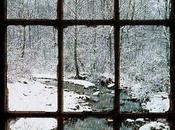 Escribo aunque debiera...