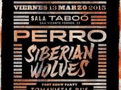 Tomavistas Ciudad: Perro Siberian Wolves (13.Marzo.2015)