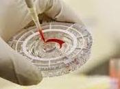Test Rápido para Detectar Ebola