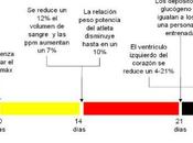 ¿Cuánto perdemos dejar entrenar?