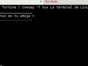 ¿Que terminal Linux? comandos básicos deberías utilizar
