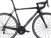 Radial Revere Carbon 1.1, interesante oferta fibra carbono firma británica venta directa