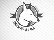 tenemos Logotipo