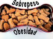 Sobrepeso Obesidad Canina