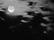 rimas verso libre