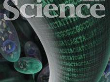 Tendencias ciencia para 2015