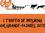 trofeo mushing Valgrande-pajares 2015