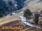 Caminando (2014), victoria heitzmann. vida paseo.