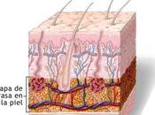Listado Enfermedades Raras. ENFERMEDADES PIEL TEJIDOS SUBCUTÁNEOS