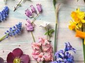 Botanical Decorations