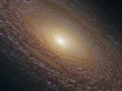 2841 galaxia formación estelar