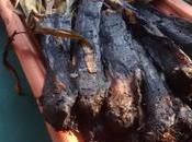 Experimentando calçots