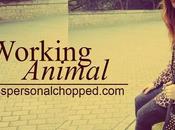 LOOK: Working Animal!