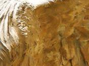 “nike” solo marca deportiva…