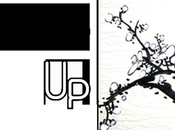 Wrap Febrero Stargazer