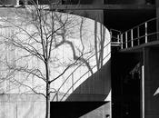 Carpenter Center Corbusier