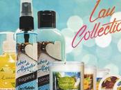 maravilloso mundo aromas COLLECTION