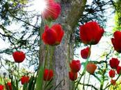 Primavera colores