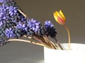 Spring coming...