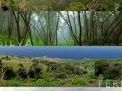 Funcionamiento ecosistema