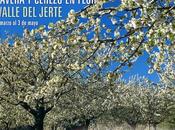 Programa completo "Primavera Cerezo Flor 2015"