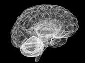 Hallan alteraciones cerebro implicadas trastorno límite personalidad
