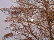 Taller Creación Literaria, Chico...