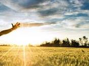 Opciones desintoxicación drogas alcohol