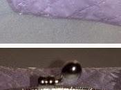 Plastificado lunares