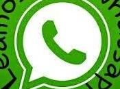 Iniciativa whatsapp