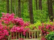 sueñes vida, vive sueño