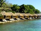 paraíso arrasado