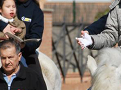 Terapia Ecuestre Asistida Caballos