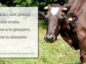 Visita Alle (leche cruda): Conoce granjero, conoce alimento