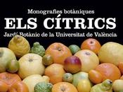 Cítricos jardín botánico valencia
