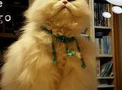 Estamos Agustito LXXXVIII porque valgo