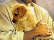 Jesús animales