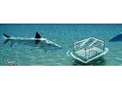 Espeleísmo, deporte extremo