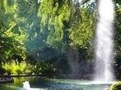 Este jueves...............el jardín