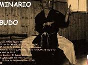 Seminario Kobudo Madrid