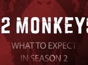 Teaser Segunda Temporada Monkeys’.