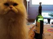 Estamos Agustito XC... Comida