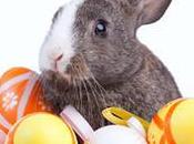 ¿Qué relación existe entre conejo Pascua?