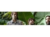 grito, nuevo clip Nudozurdo