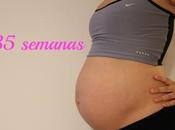 embarazo: semana