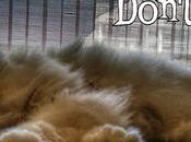 Estamos Agustito XCI. Momento Don't Disturb molestar